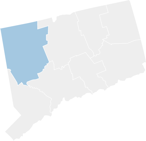 Litchfield county